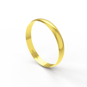 Aliança de Ouro 10K BA300E